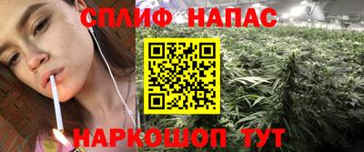 apvp Заволжье
