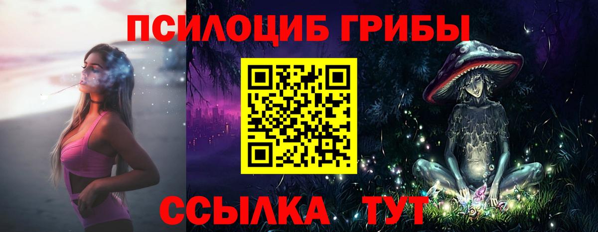 Кстово  Псилоцибиновые грибы MAGIC MUSHROOMS  Вход с VPN 